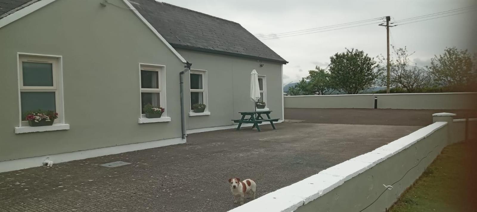 Birdhill Farmhouse Tipperary Eksteriør billede